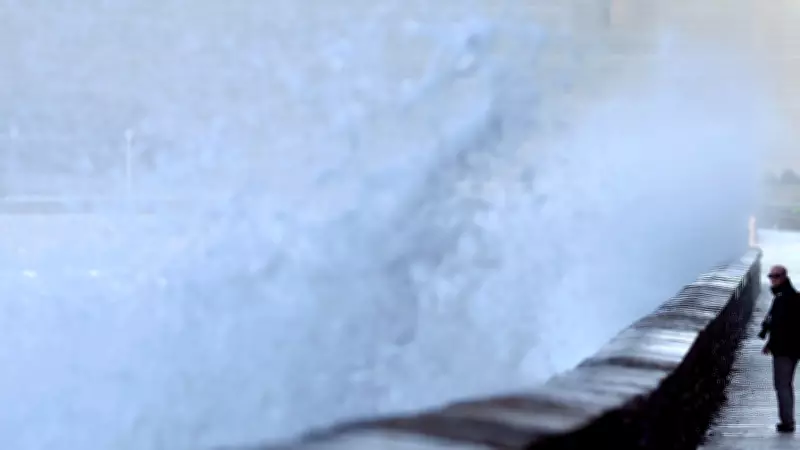 Sinais da Natureza: Como Prever Desastres Naturais e Se Preparar para a Devastação