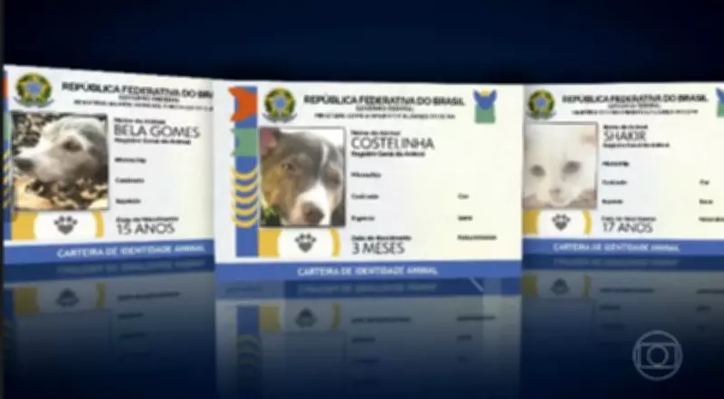 SinPatinhas: mais de 1 milhão de pets registrados auxiliam políticas públicas e buscas