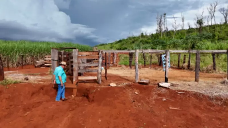 Sitiante de São José da Bela Vista sofre ameaças de morte após furto de 20 cabeças de gado
