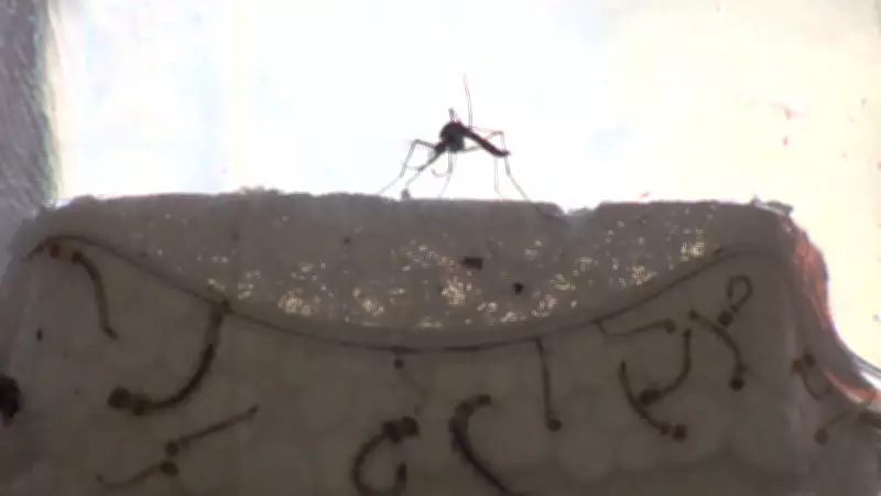 São José dos Campos registra primeira morte por dengue em 2026, com 371 casos confirmados