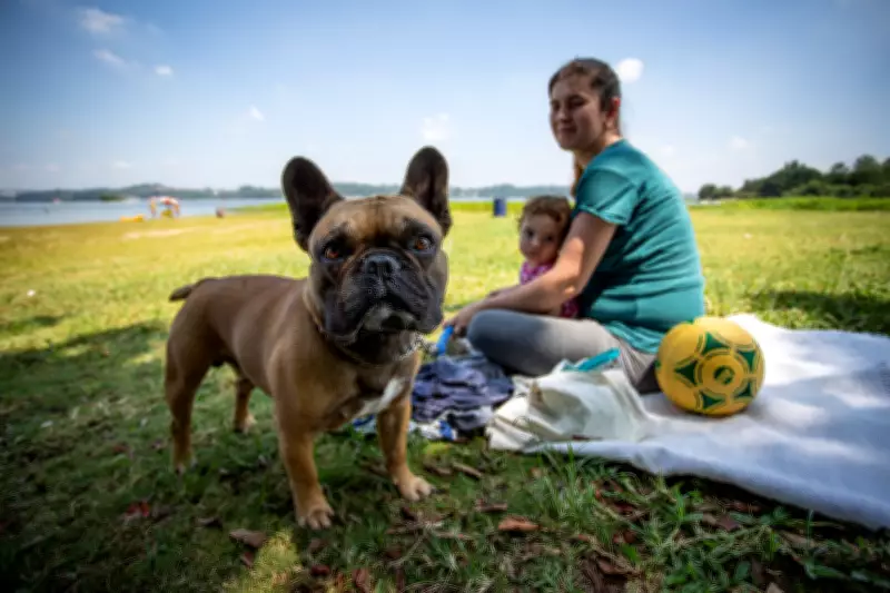 São Vicente terá Parque Pet na Praia do Itararé com investimento de R$ 200 mil
