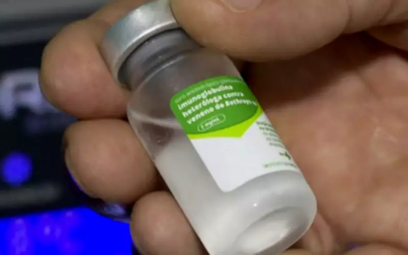 Soro antiescorpiônico disponível em 35 municípios do Sul de Minas para combater picadas