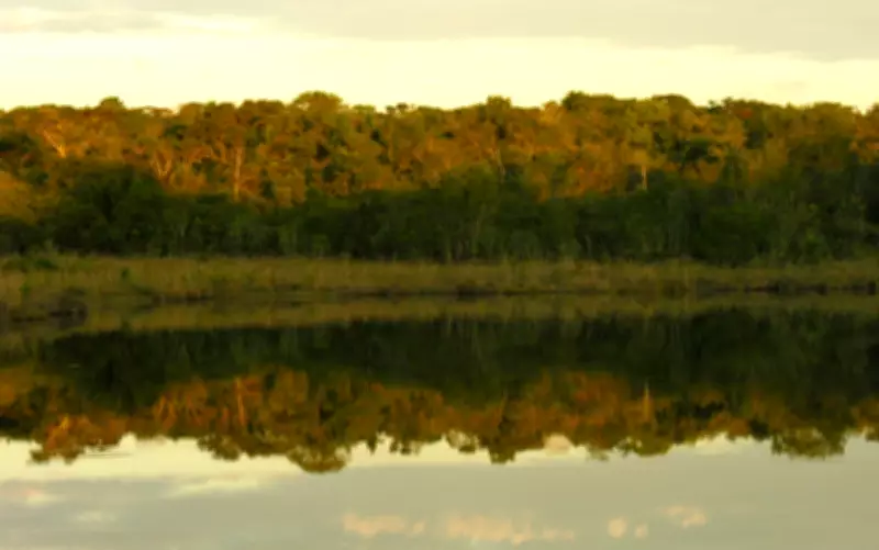 SP abre 98 vagas para pesquisadores ambientais após pressão do STF sobre déficit de cargos