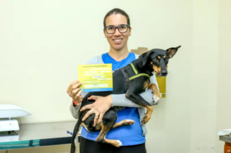 Subea retoma atendimentos gratuitos de castração para cães e gatos em Campo Grande