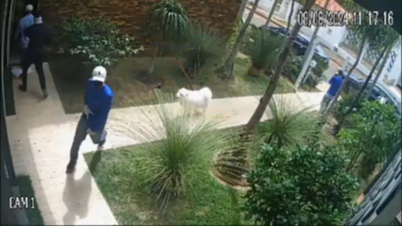 Suspeitos se passam por vidraçeiros e roubam R$ 1 milhão em mansão do Lago Sul