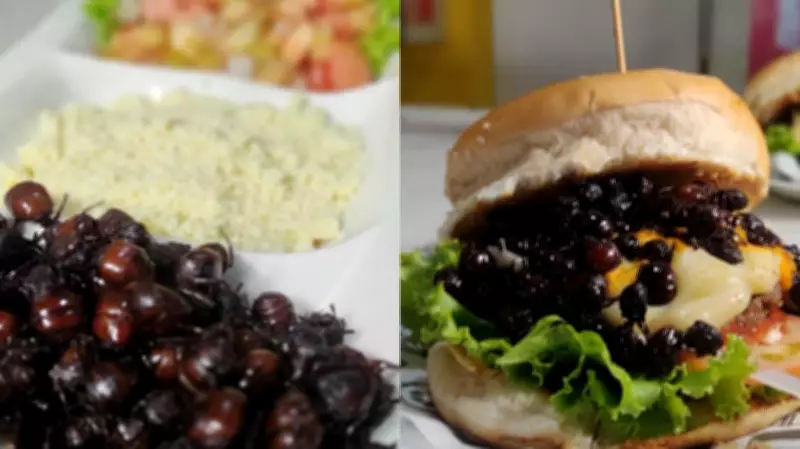 Tanajura vira iguaria de luxo em Pernambuco com preços de até R$ 300 o quilo