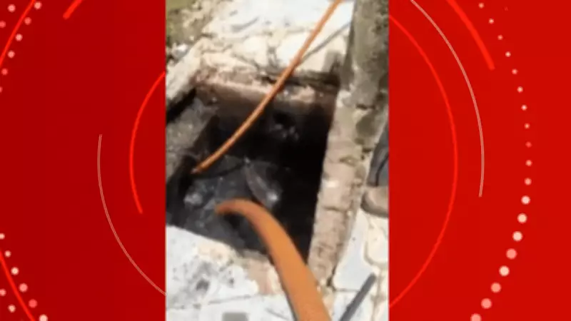 Tatu Surge de Bueiro Entupido e Assusta Trabalhadores Durante Limpeza em Cuiabá