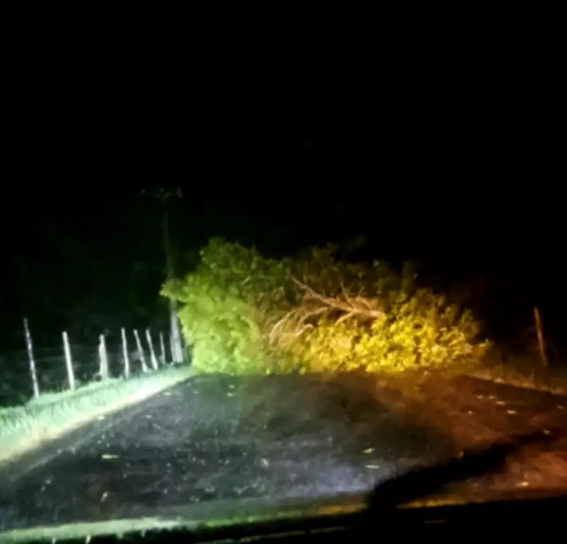 Tempestade com raios e ventos fortes derruba árvores e bloqueia estradas no Noroeste Fluminense
