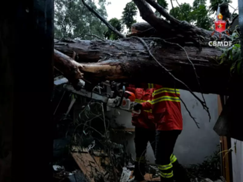 Temporal causa estragos no DF com alagamentos, queda de árvores e hospital inundado