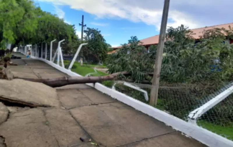 Temporal com ventos de 65 km/h causa estragos em Itapeva, incluindo queda de árvores e deslizamento
