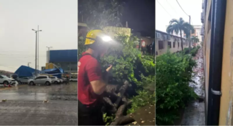 Temporal com ventos fortes causa estragos e feridos em Pau dos Ferros, RN