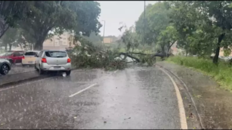 Temporal em Belo Horizonte causa alagamentos e queda de árvores em vários bairros