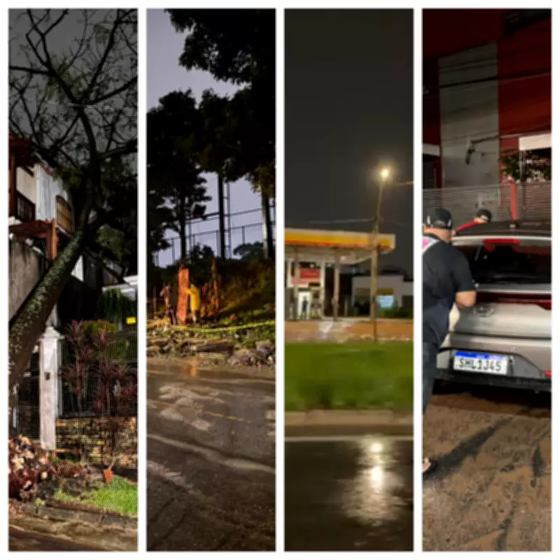 Temporal em BH: 34 resgates, alagamentos e queda de árvores após chuva intensa