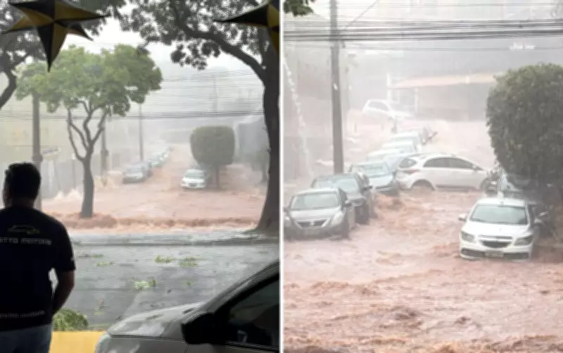 Temporal em Ribeirão Preto causa alagamentos e queda de árvore que atinge fachada de loja