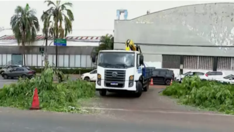 Temporal em Ribeirão Preto causa queda de árvore gigante, alagamentos e danos a veículos