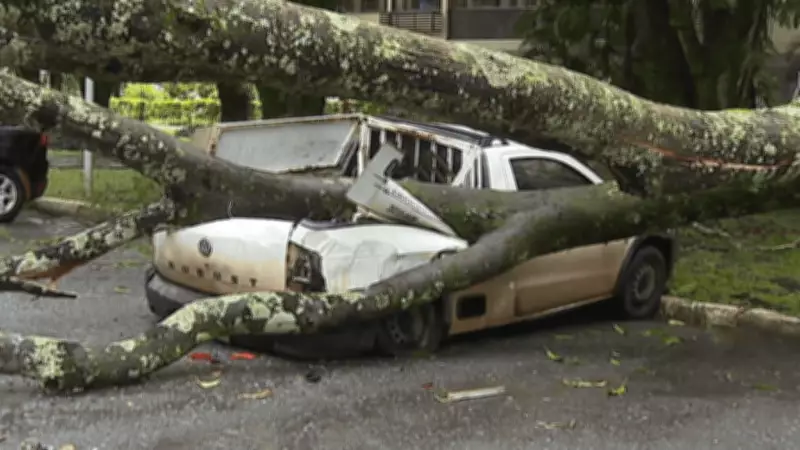 Temporal intenso causa alagamentos e estragos no Distrito Federal