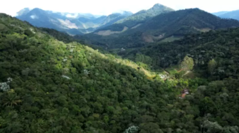 Terra da Gente explora Lumiar: paraíso da Mata Atlântica com 230 espécies de aves