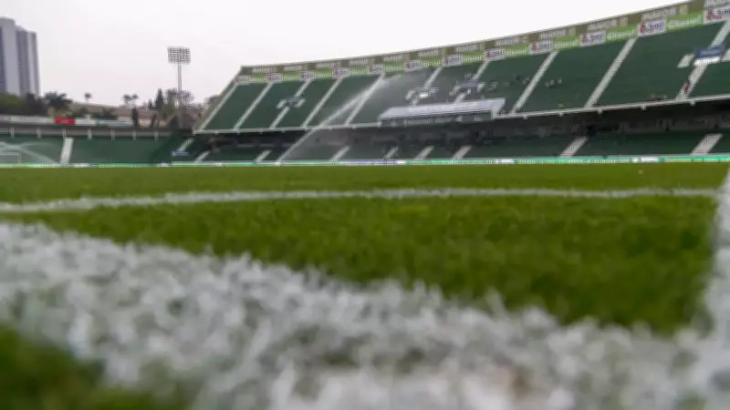 Torcida Mancha Alviverde assume responsabilidade civil por emboscada que matou torcedor cruzeirense
