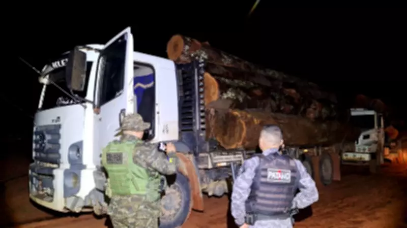 Três caminhões com toras de madeira nativa são abandonados perto de parque em Rondônia