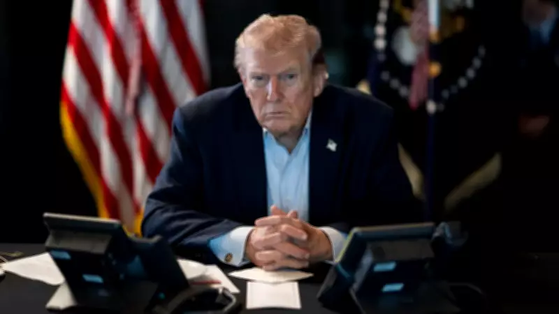 Trump intensifica confronto com a Otan, chamando aliança de 'tigre de papel' e aliados de 'covardes'