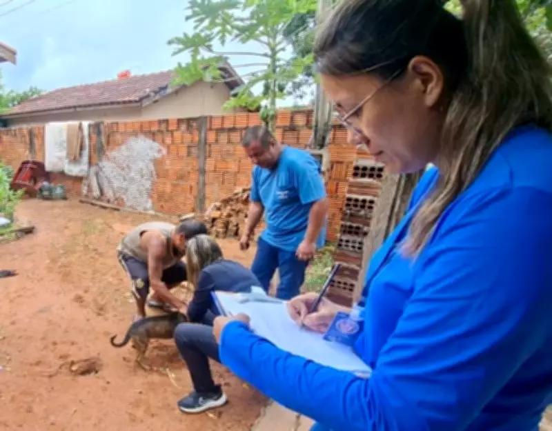 Tupã inicia censo canino com exames de leishmaniose e vistorias em quintais