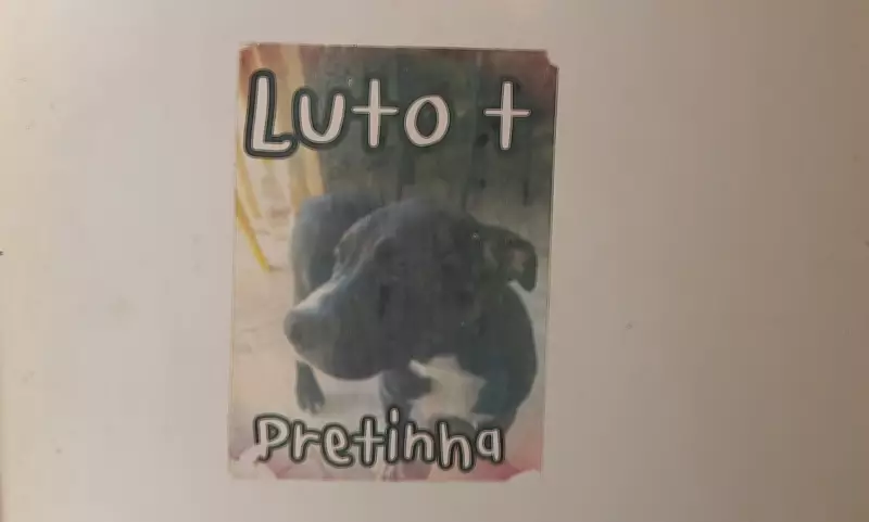 Tutora de cachorra morta por PM em Guará (SP) critica indenização de R$ 12 mil