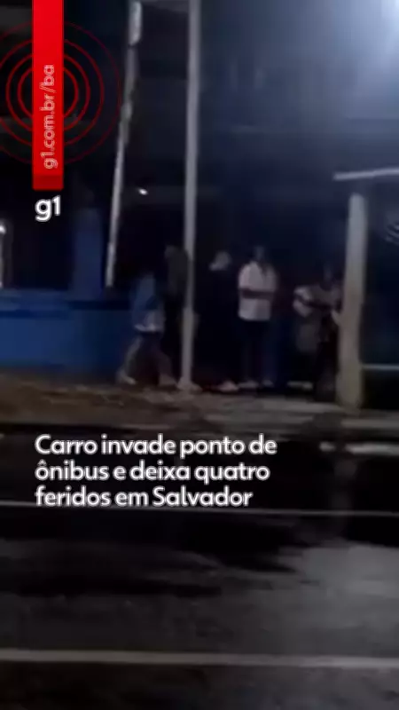 TV Bahia e G1 Bahia Apresentam os Principais Vídeos do Domingo, 29 de Março de 2026