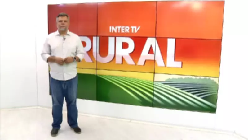 TV Rural de Minas Gerais destaca inovações no agronegócio em edição especial deste domingo