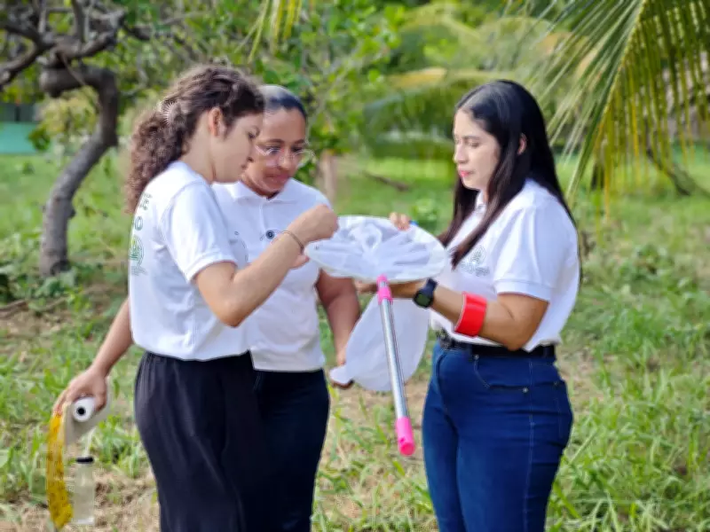 Unifap monitora praga letal que ameaça coqueiros e açaizeiros na Amazônia