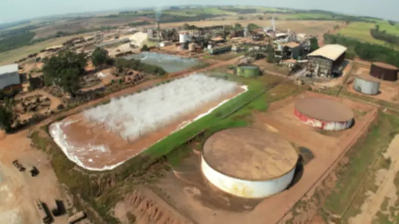Usina Carolo demite 350 trabalhadores em Pontal, SP, e sindicato denuncia falta de pagamento de direitos
