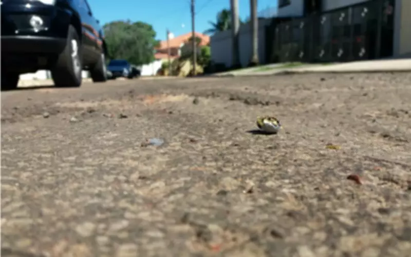 Vale do Paraíba lidera mortes violentas no interior de SP com 44 casos em 2026