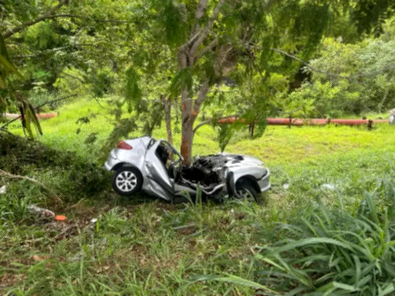 Vale do Paraíba registra queda de 21% nas mortes no trânsito em fevereiro de 2026