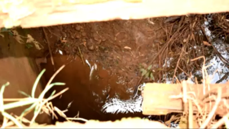 Vazamento de dejetos de porcos contamina rio e afeta abastecimento em cidade gaúcha