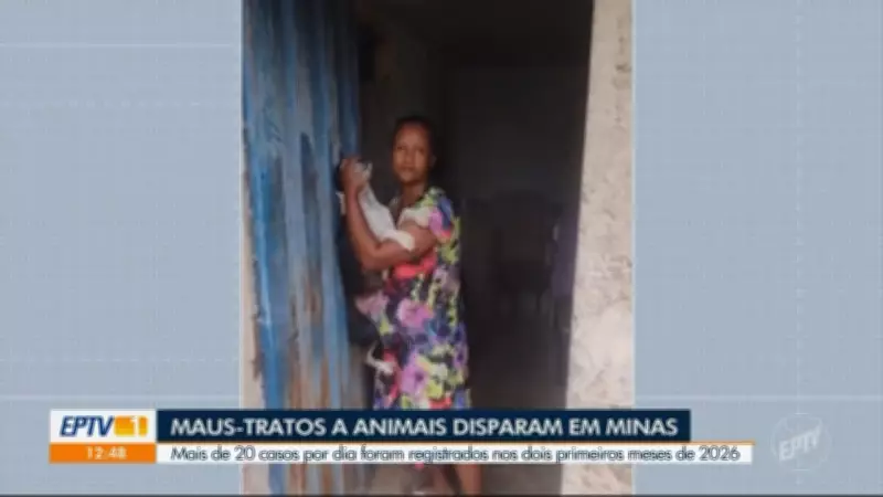 Vídeos da EPTV 1 Sul de Minas desta quarta-feira, 25 de março de 2026