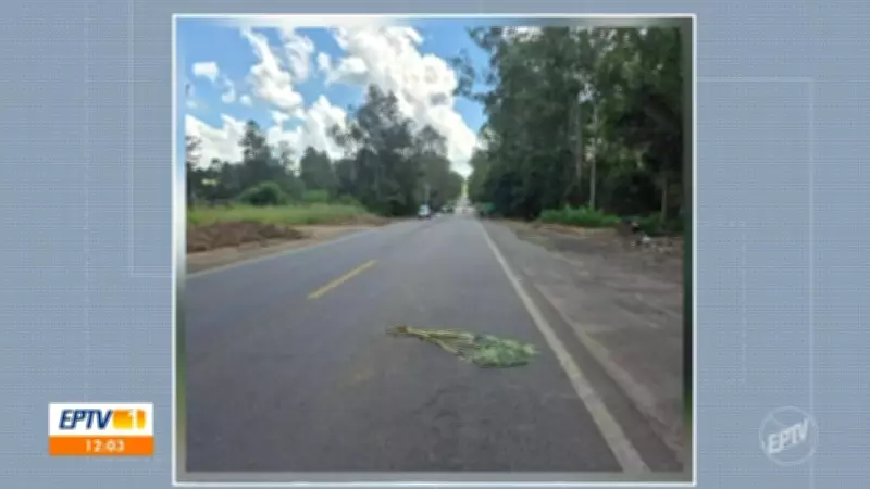 Vídeos da EPTV 1 Sul de Minas: destaques da edição de 4 de março de 2026