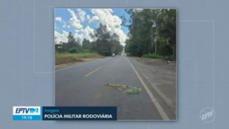 Vídeos da EPTV 2 Sul de Minas desta terça-feira, 3 de março de 2026