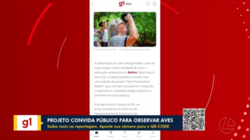 Vídeos do BDP de Terça-feira: Acidentes e Incidentes no Pará em 31 de Março de 2026