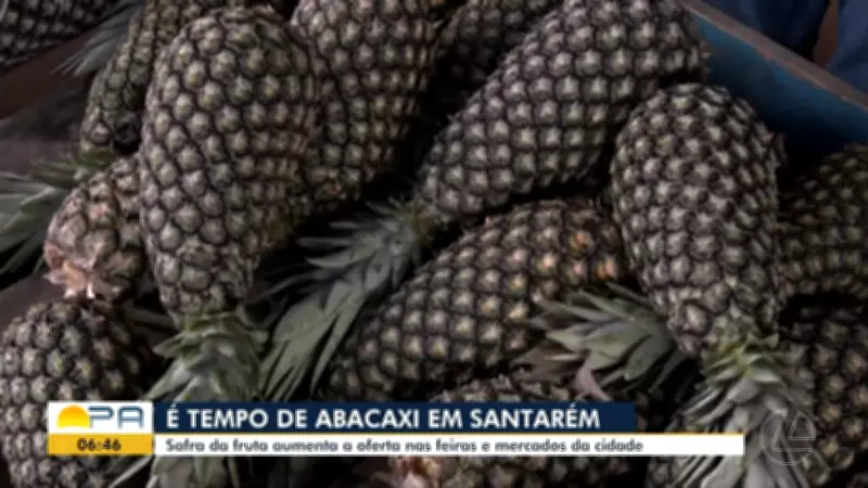 Vídeos do BDP de Terça-feira: Confira os Destaques do Dia 3 de Março de 2026