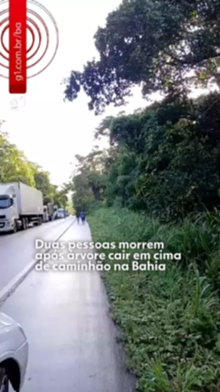 Vídeos do G1 Bahia e TV Bahia: destaques da quinta-feira, 26 de março de 2026