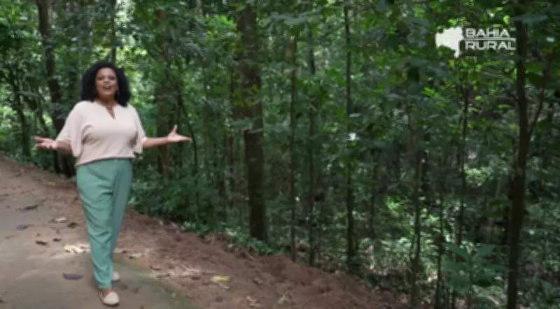 Vídeos do G1 e TV Bahia: Destaques do Domingo 8 de Março de 2026