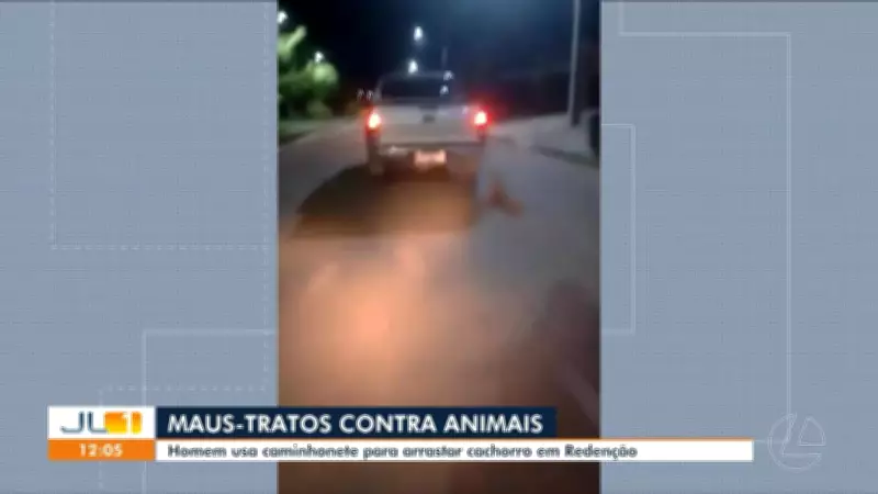 Vídeos JL1: Confira os principais destaques do telejornal paraense desta segunda-feira