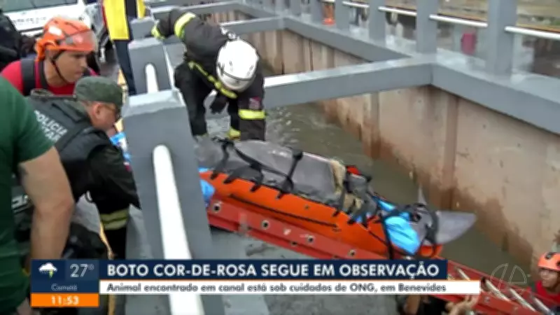 Vídeos JL1 de Quarta-feira: Confira os Destaques do Dia 18 de Março de 2026