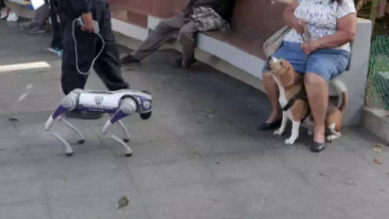 Venezuela aposta em cães-robôs para reforçar segurança pública em Caracas