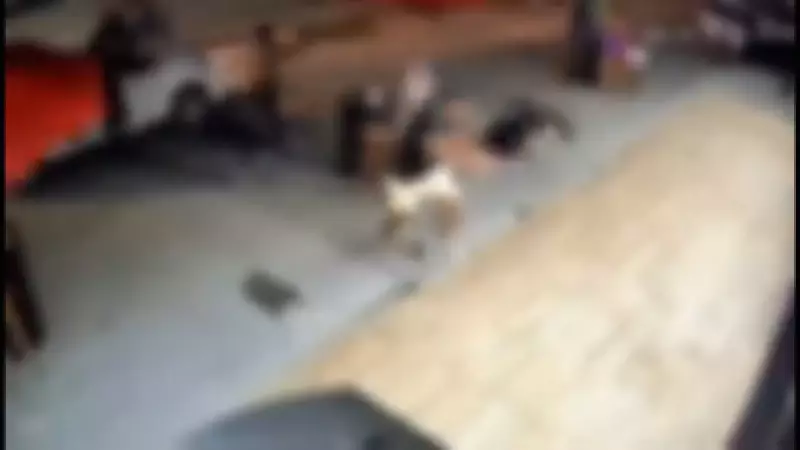 Vereador de Japeri perde filho em execução a tiros dentro de bar na Baixada Fluminense