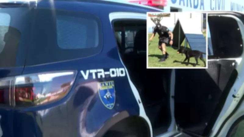 Viatura para cães da GCM em Rio Claro custa R$ 450 mil com climatizador e padrão americano