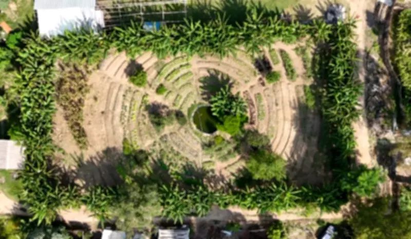 Vigilância Sanitária fecha farmácia clandestina em Campinas; acampamento Marielle Vive em Valinhos enfrenta impasse