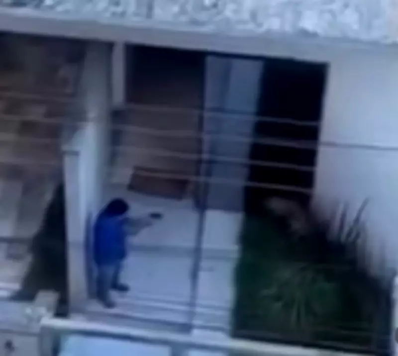 Vizinha relata medo ao gravar homem matando cachorro a tiros em Pará de Minas