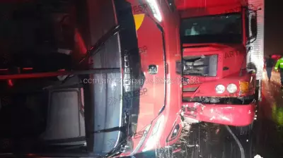 Acidente grave entre ônibus e caminhão em Uchôa (SP) deixa 12 feridos na SP-310