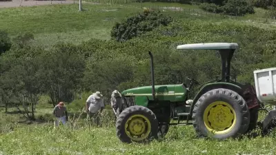 Agronegócio em Pernambuco projeta expansão superior a 50% para 2026, segundo IBGE