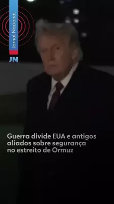 Aliados recusam envio militar para reabertura do Estreito de Ormuz, alerta chefe da IMO